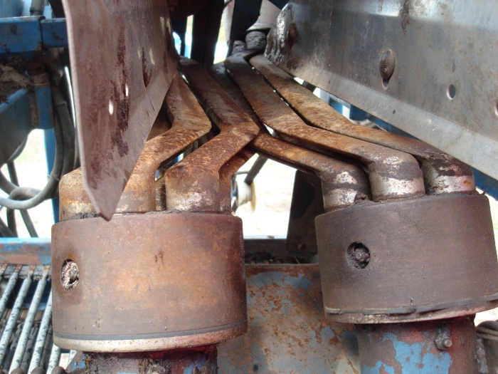 3488 Asa-Lift ST 1200 1 row carrot harvester
