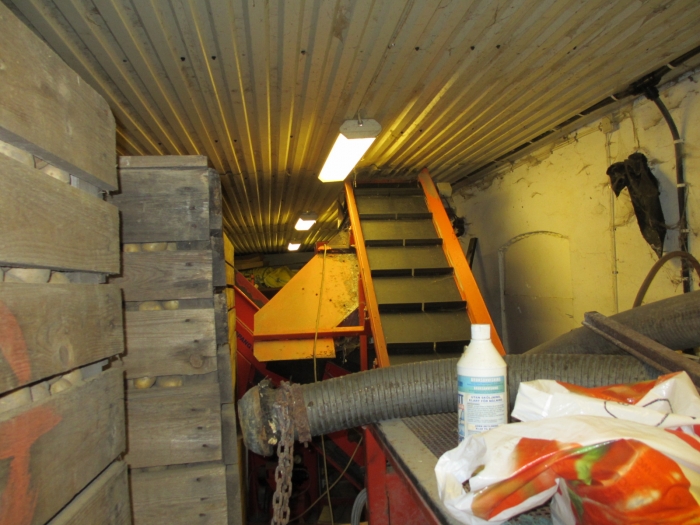 3492 EKKO complete carrot washing and grading line