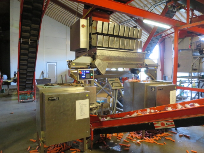 4032 Newtec 3009 weigher with bagging line for carrots