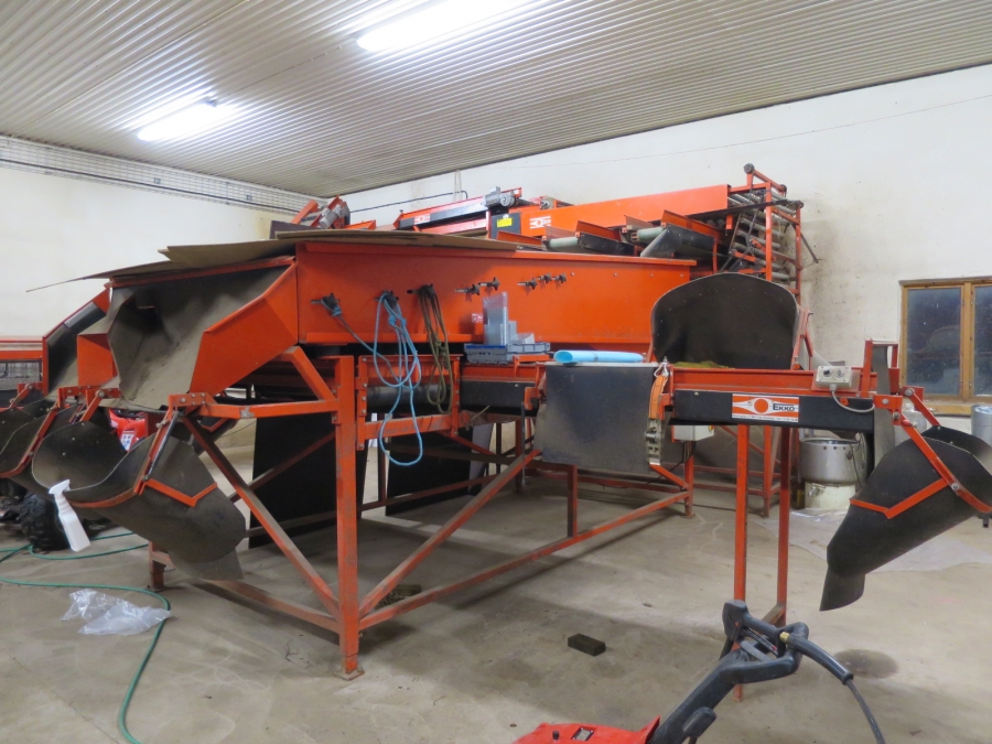 4103 EKKO complete grading and washing line for carrots