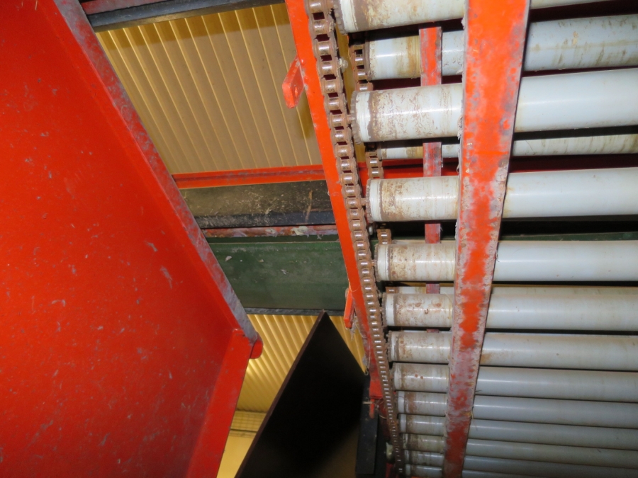 4103 EKKO complete grading and washing line for carrots