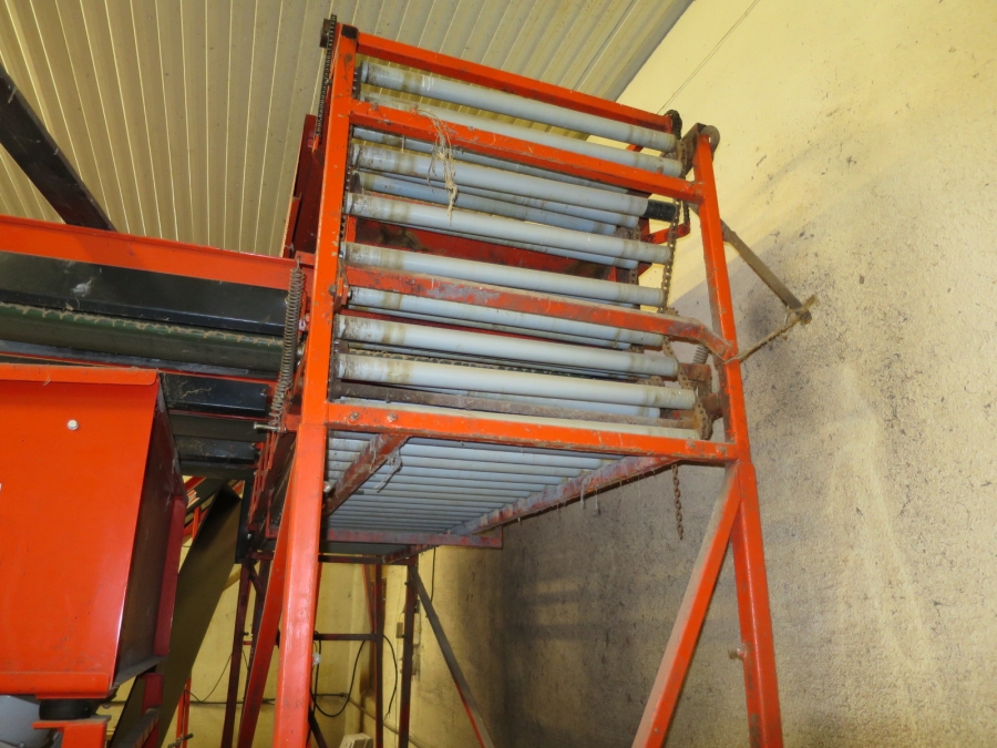 4103 EKKO complete grading and washing line for carrots