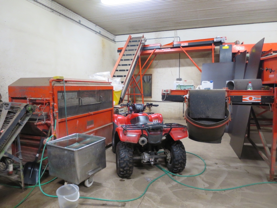 4103 EKKO complete grading and washing line for carrots