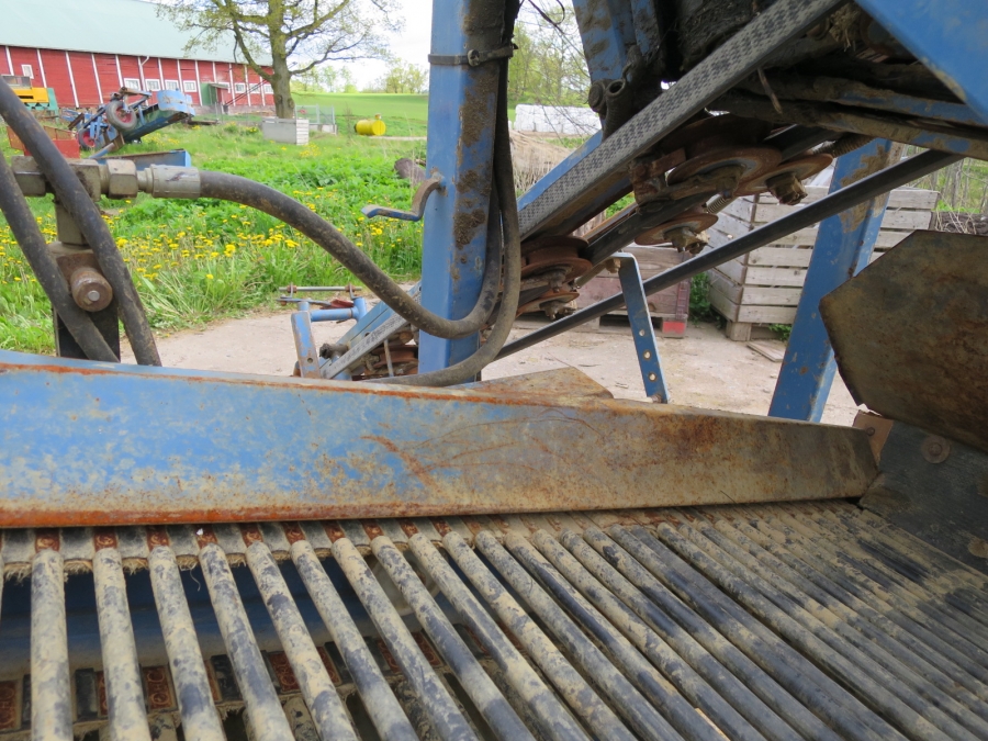 4105 Asa-Lift combi mini carrot harvester 1 row with roller table