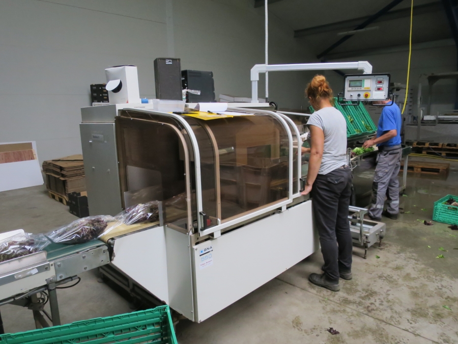 4199 GNA AV550 flow-pack horizontal