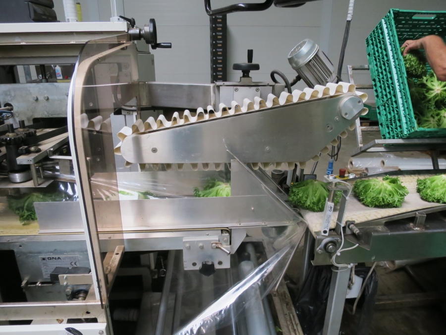 4199 GNA AV550 flow-pack horizontal