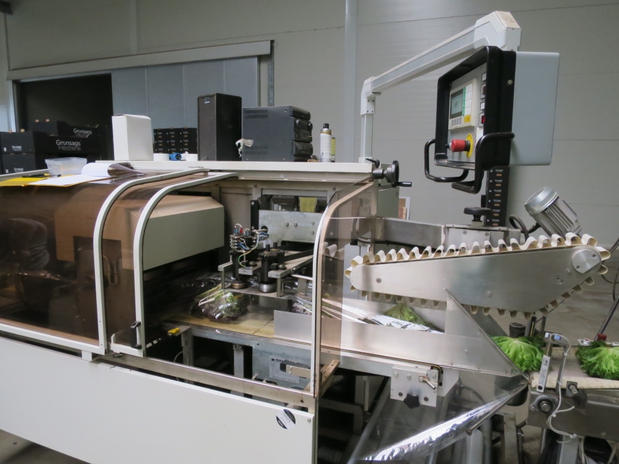 4199 GNA AV550 flow-pack horizontal