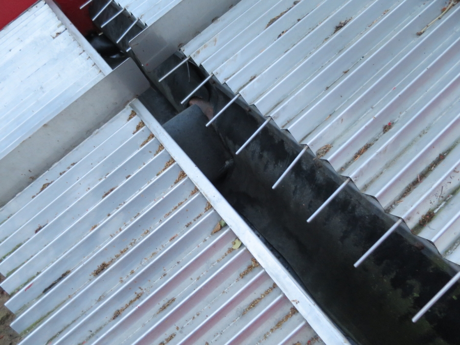 4212 EKKO length grader for carrots