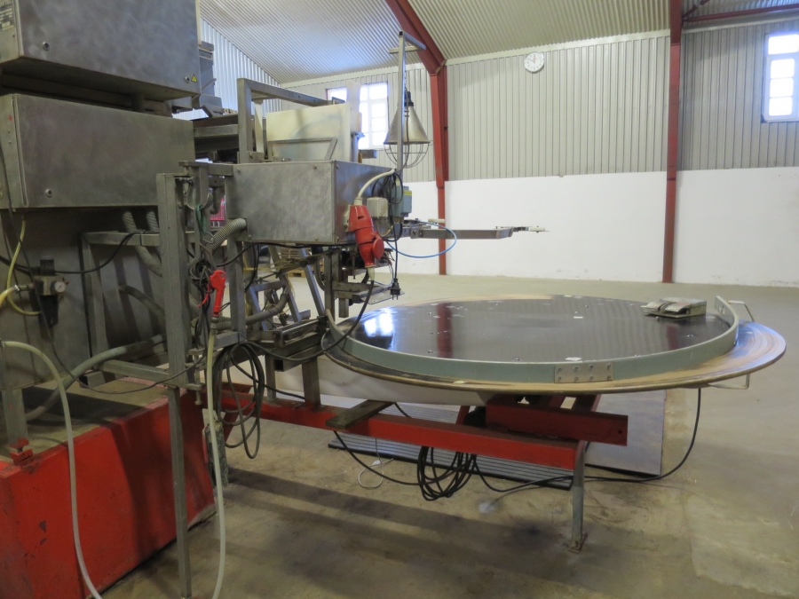 4247 Newtec 2008G G45 weigher and bagger for carrots