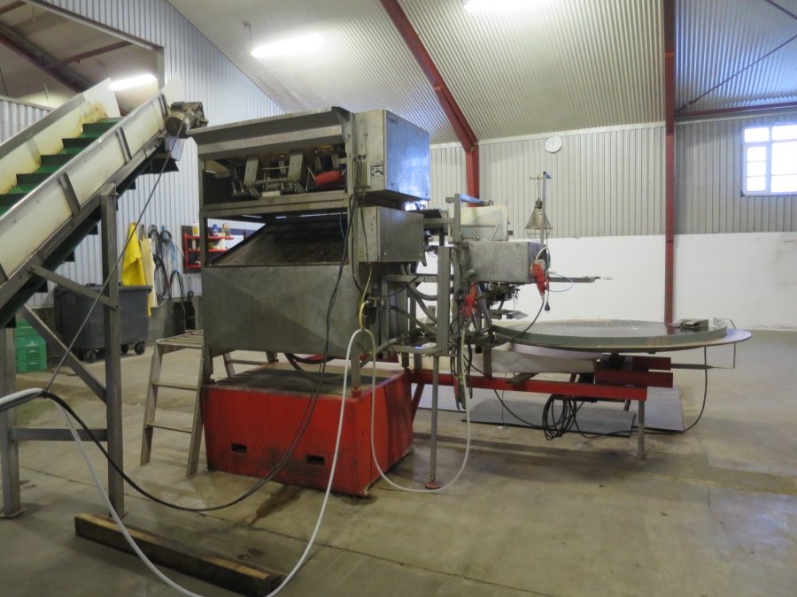 4247 Newtec 2008G G45 weigher and bagger for carrots
