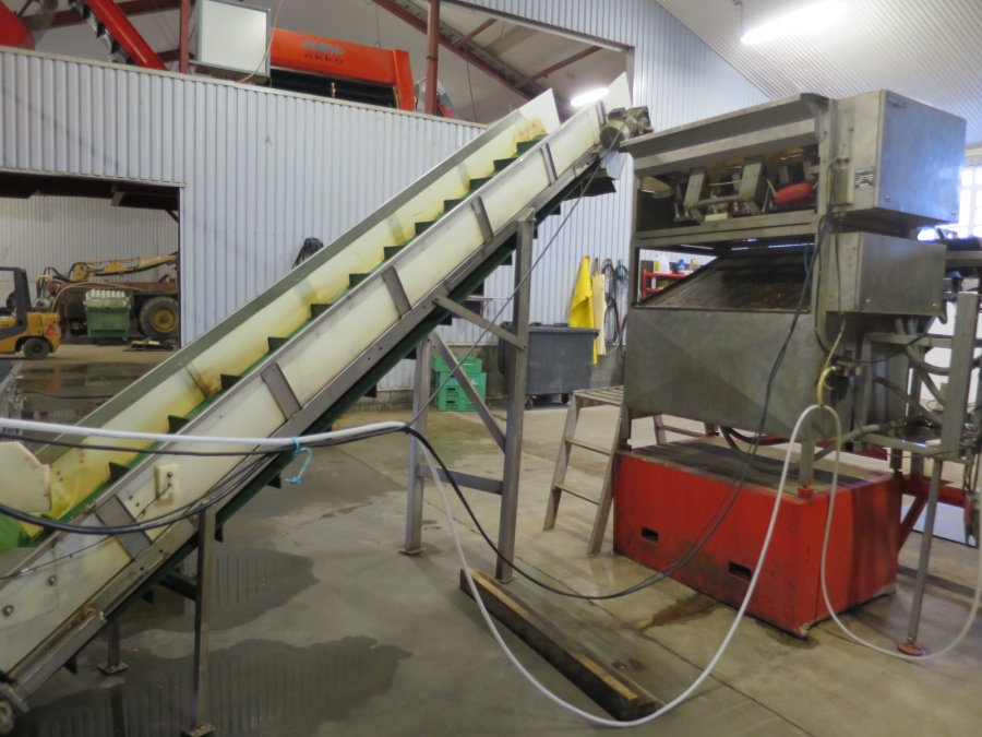 4247 Newtec 2008G G45 weigher and bagger for carrots