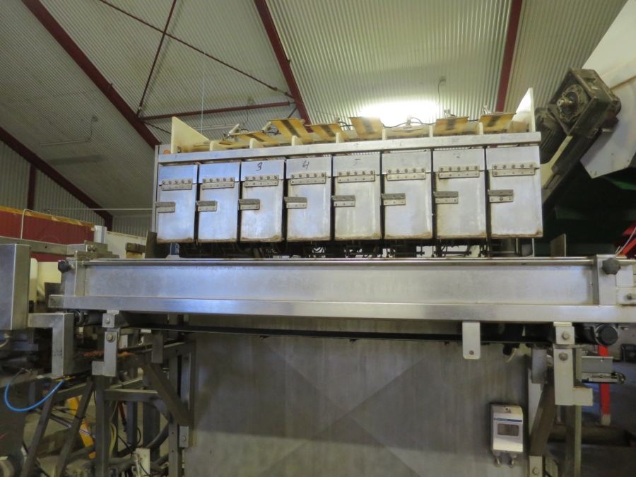 4247 Newtec 2008G G45 weigher and bagger for carrots