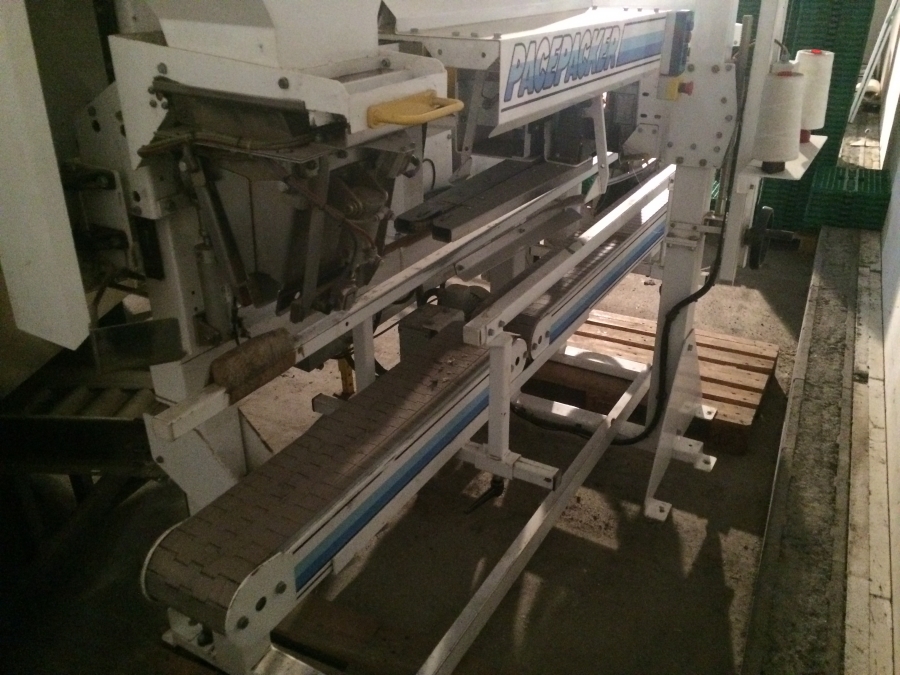 4346 Pacepacker TBC paper bagger with stitcher