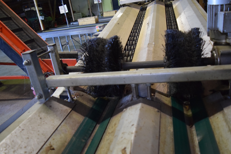 4378 AWETA G2 apple grading line