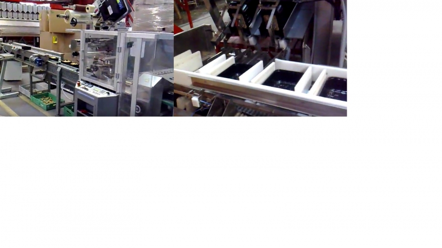 4589 Newtec NBM + Barsch tray sealer