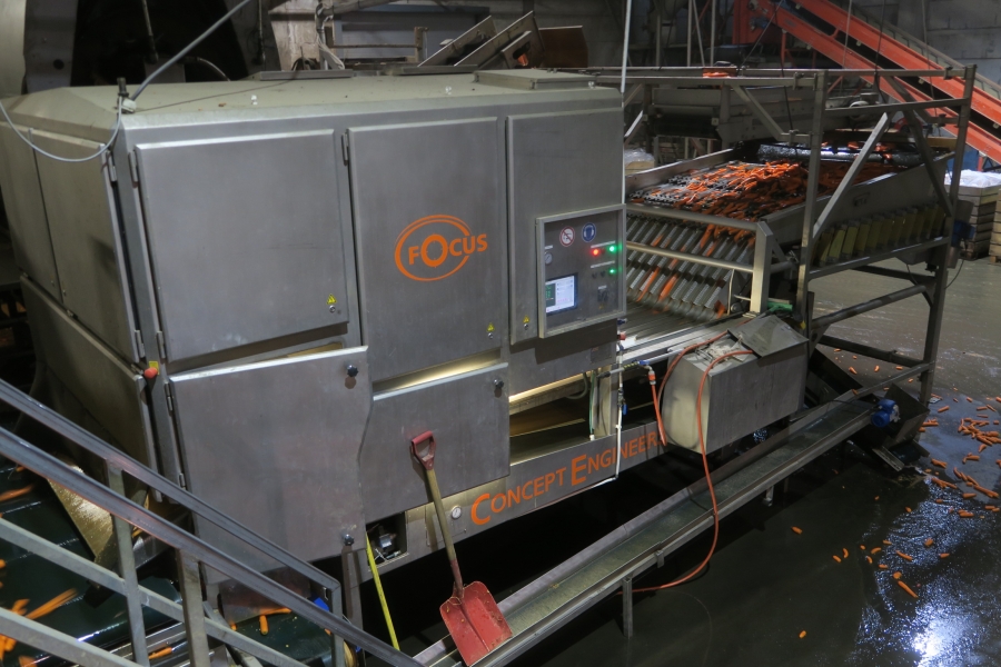 4594 Concept Engineers FOCUS optical grader for carrots potatoes etc