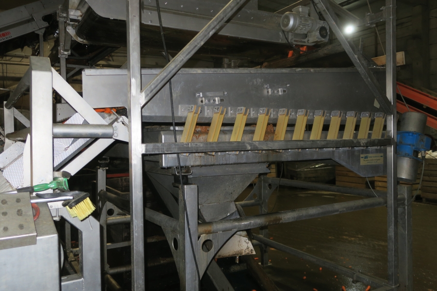 4594 Concept Engineers FOCUS optical grader for carrots potatoes etc