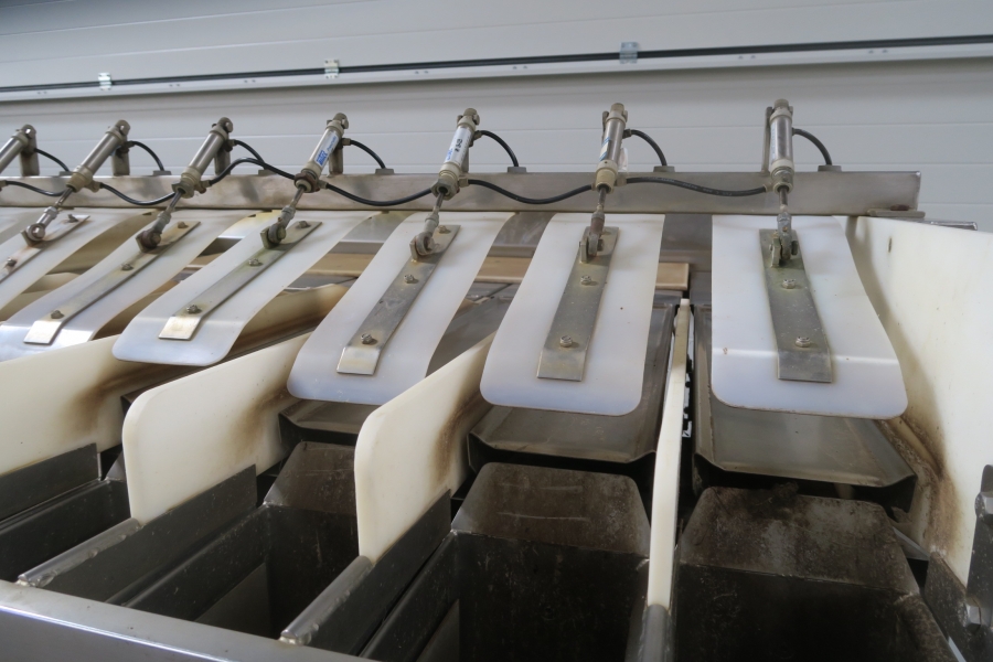 4616  Newtec 2009G Computer weigher for carrots