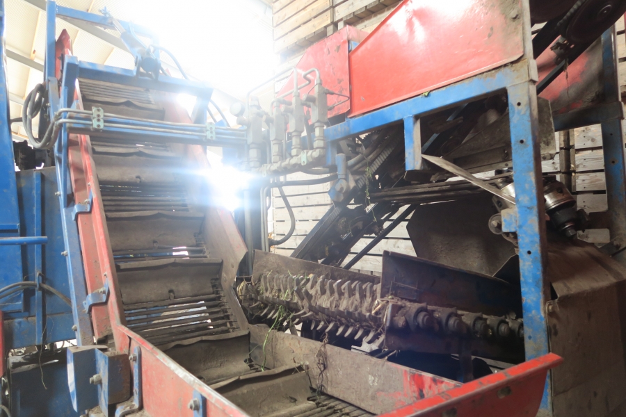 4667 Asa-Lift T-100 carrot harvester with bunker