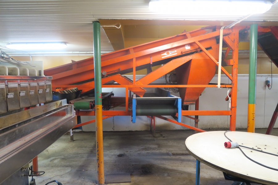 4678 EKKO  diameter grader for carrots