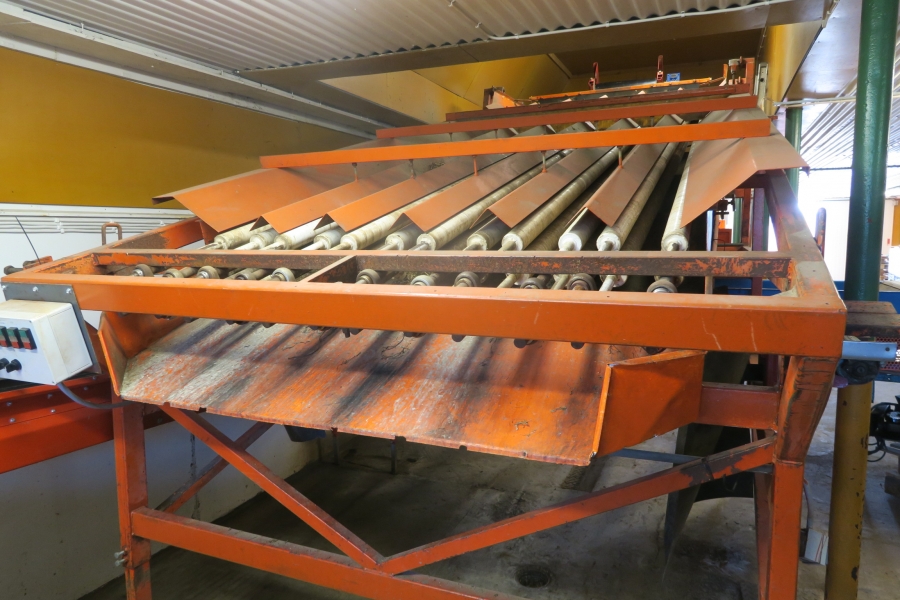 4678 EKKO  diameter grader for carrots
