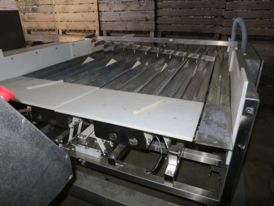4982 Newtec Celox XT optical sorter for carrots