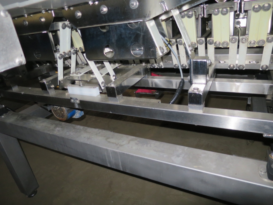 4982 Newtec Celox XT optical sorter for carrots