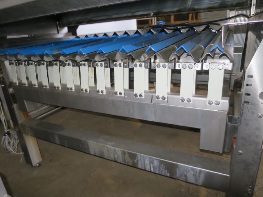 4982 Newtec Celox XT optical sorter for carrots