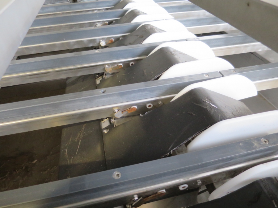 4982 Newtec Celox XT optical sorter for carrots