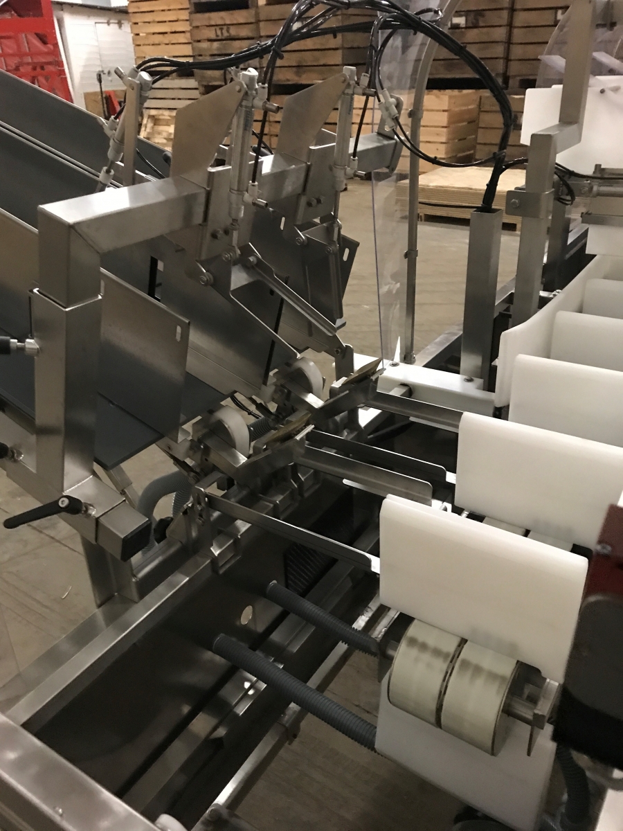 4994 Newtec tray filler NBM61F for punnets