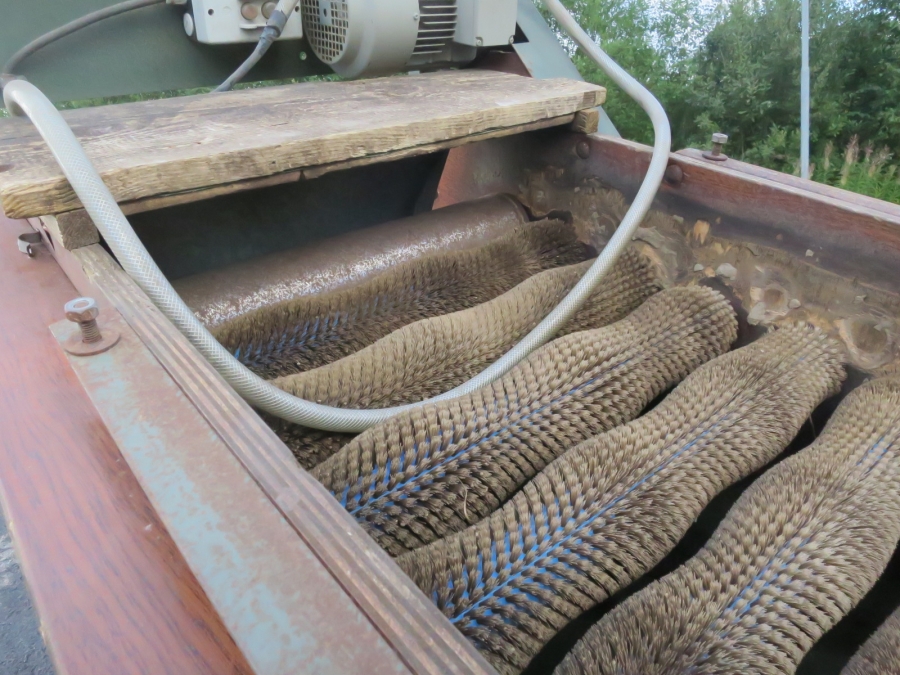 5091 Compas potato sorting line