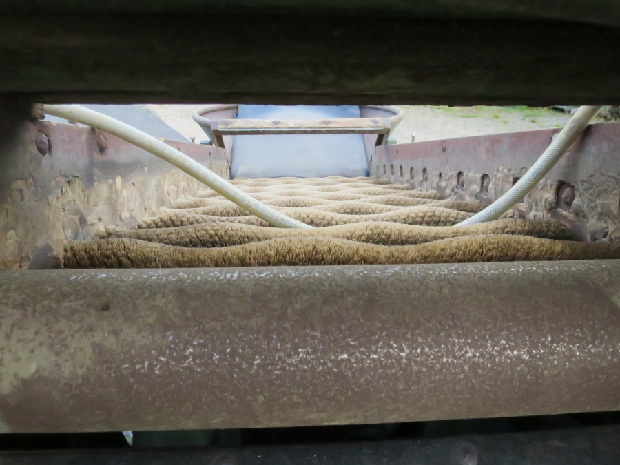 5091 Compas potato sorting line