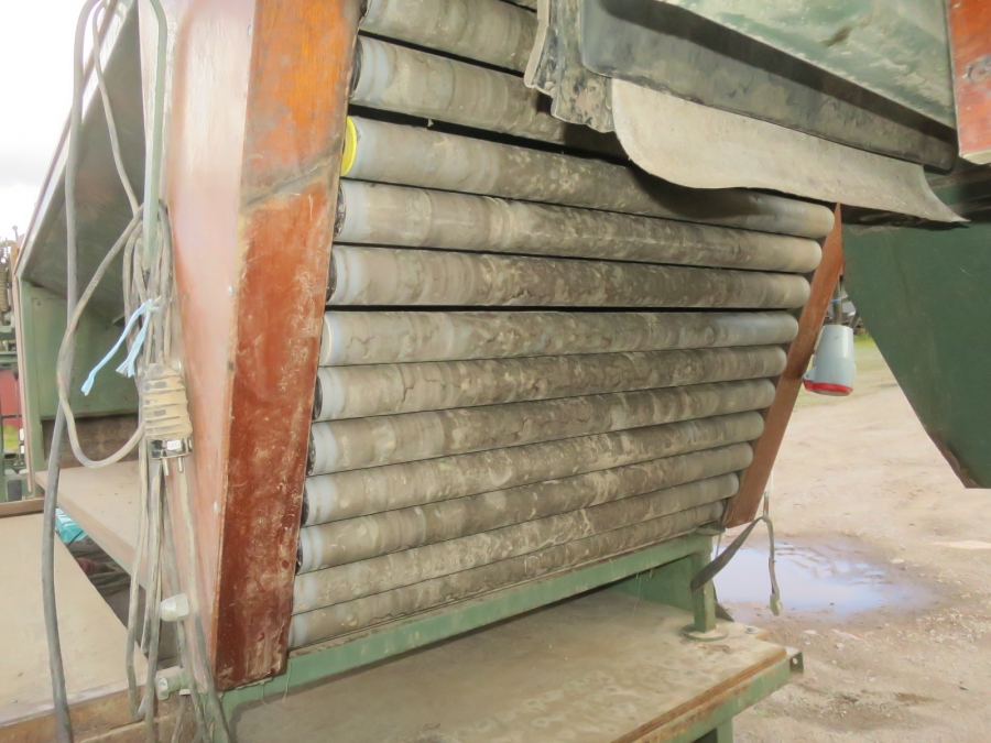 5091 Compas potato sorting line