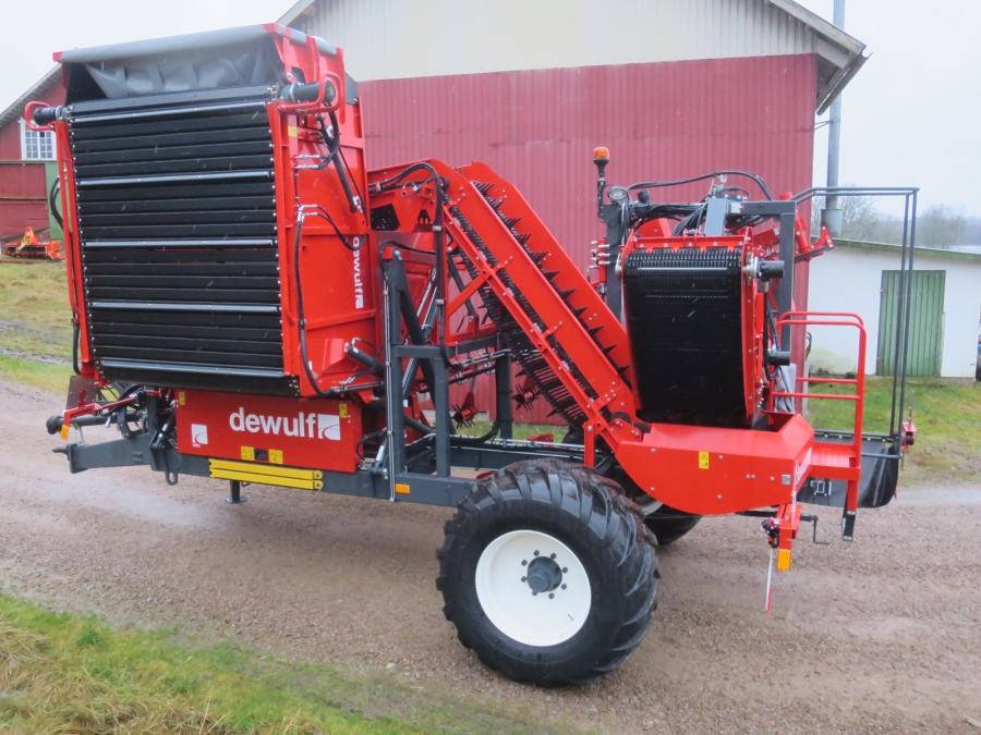 5130 Dewulf GBC carrot harvester with bunker