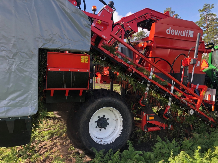5162 Dewulf GBC carrot harvester