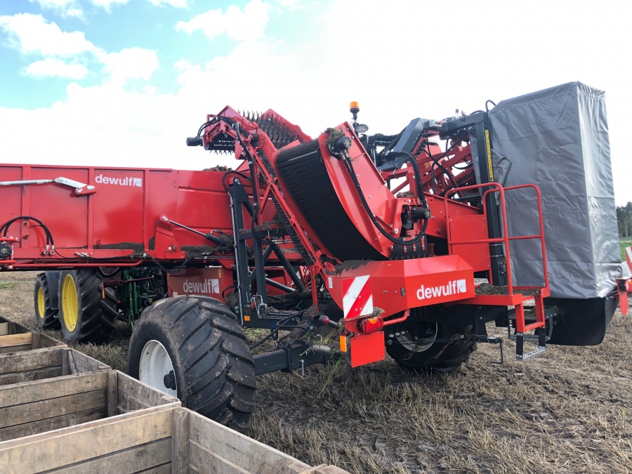 5162 Dewulf GBC carrot harvester