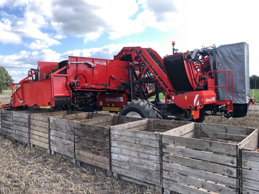 5162 Dewulf GBC carrot harvester