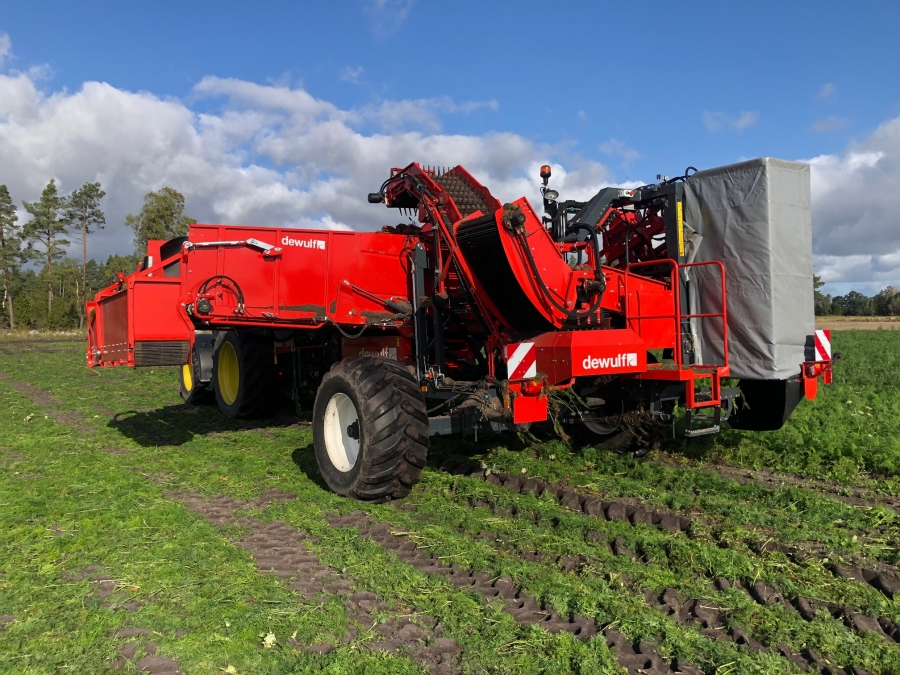 5162 Dewulf GBC carrot harvester