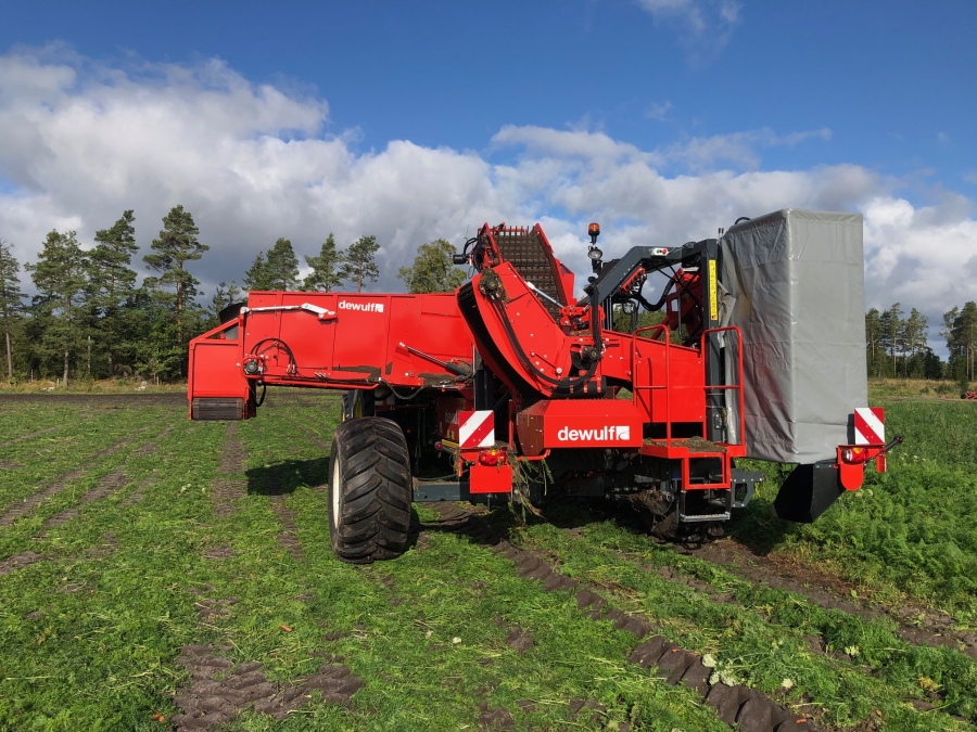 5162 Dewulf GBC carrot harvester