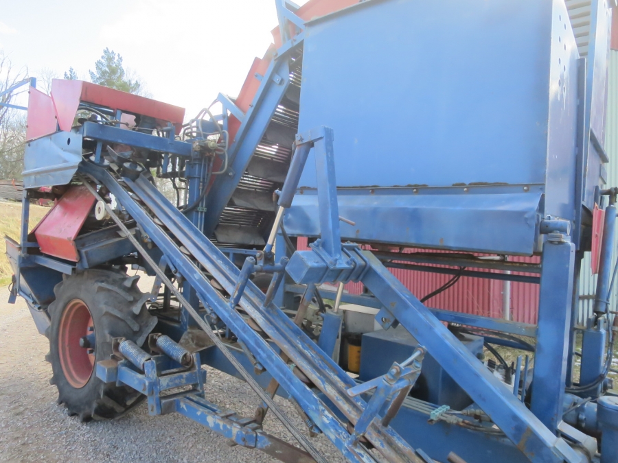 5181 Asa-lift carrot harvester T-100 single row with bunker