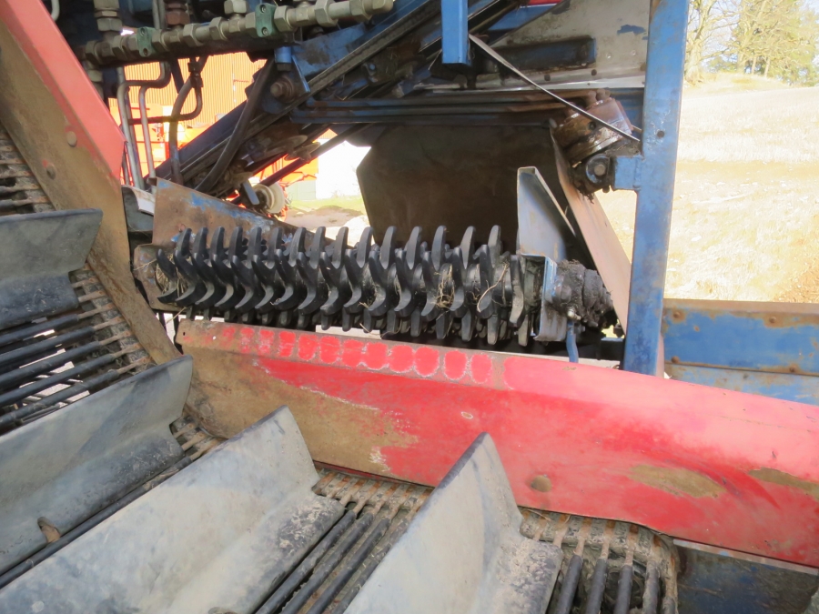 5181 Asa-lift carrot harvester T-100 single row with bunker