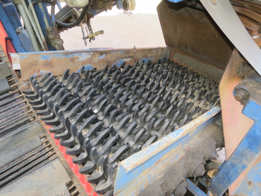 5181 Asa-lift carrot harvester T-100 single row with bunker