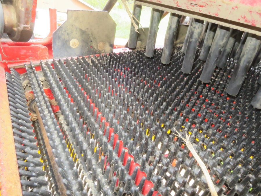5204 Grimme SE85-55 potato harvester