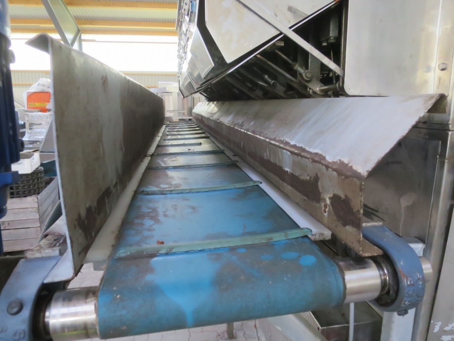 5211 Newtec 2009XB weigher for potato, onion etc