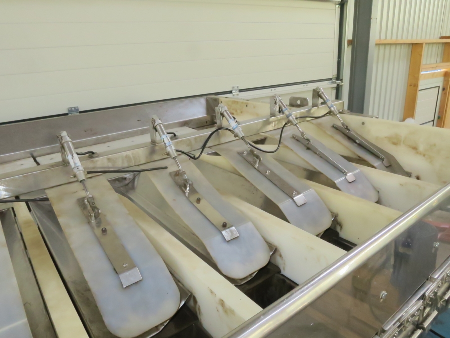 5211 Newtec 2009XB weigher for potato, onion etc