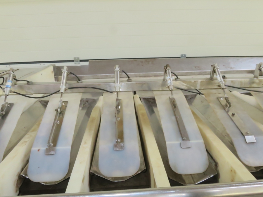 5211 Newtec 2009XB weigher for potato, onion etc