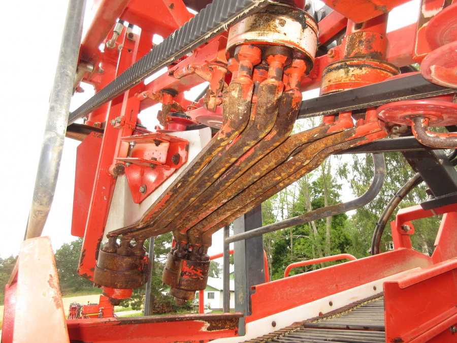 5287 Dewulf GBC carrot harvester with bunker