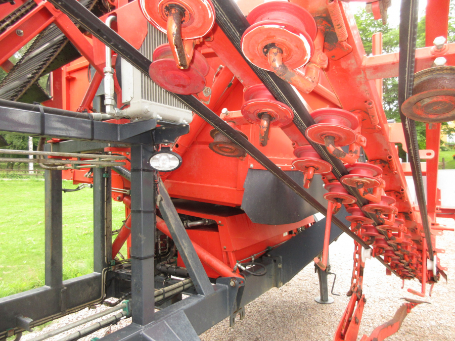 5287 Dewulf GBC carrot harvester with bunker