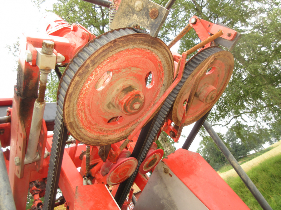 5287 Dewulf GBC carrot harvester with bunker