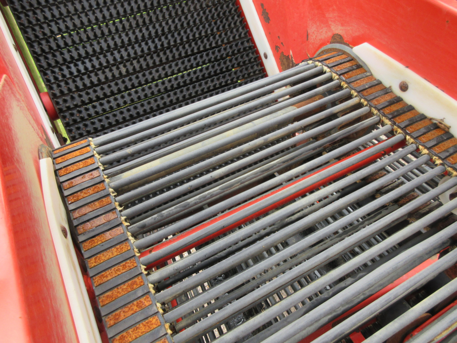 5287 Dewulf GBC carrot harvester with bunker